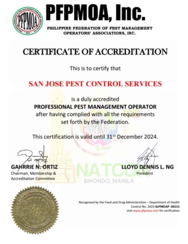 Certificate 1